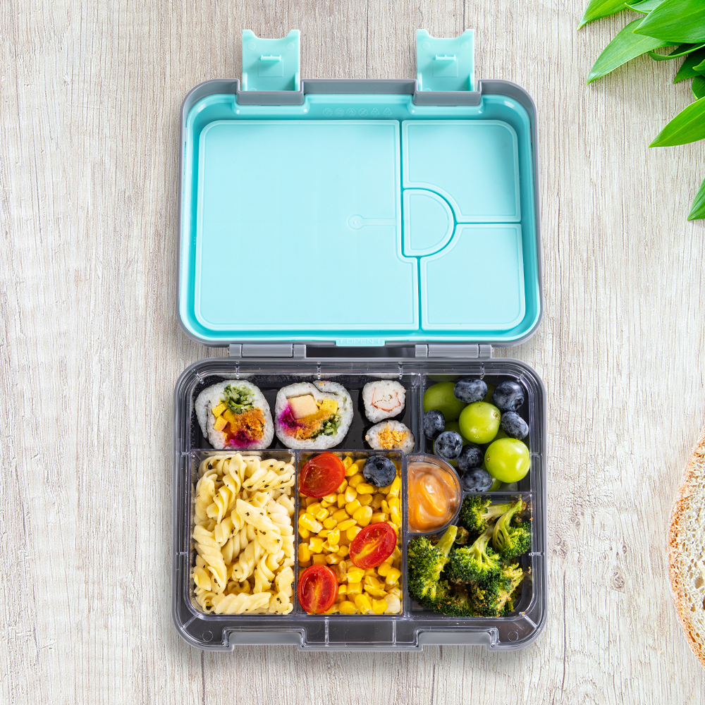 Eazy Kids – 6 & 4 Convertible Bento Lunch Box Set – T-Rex Grey