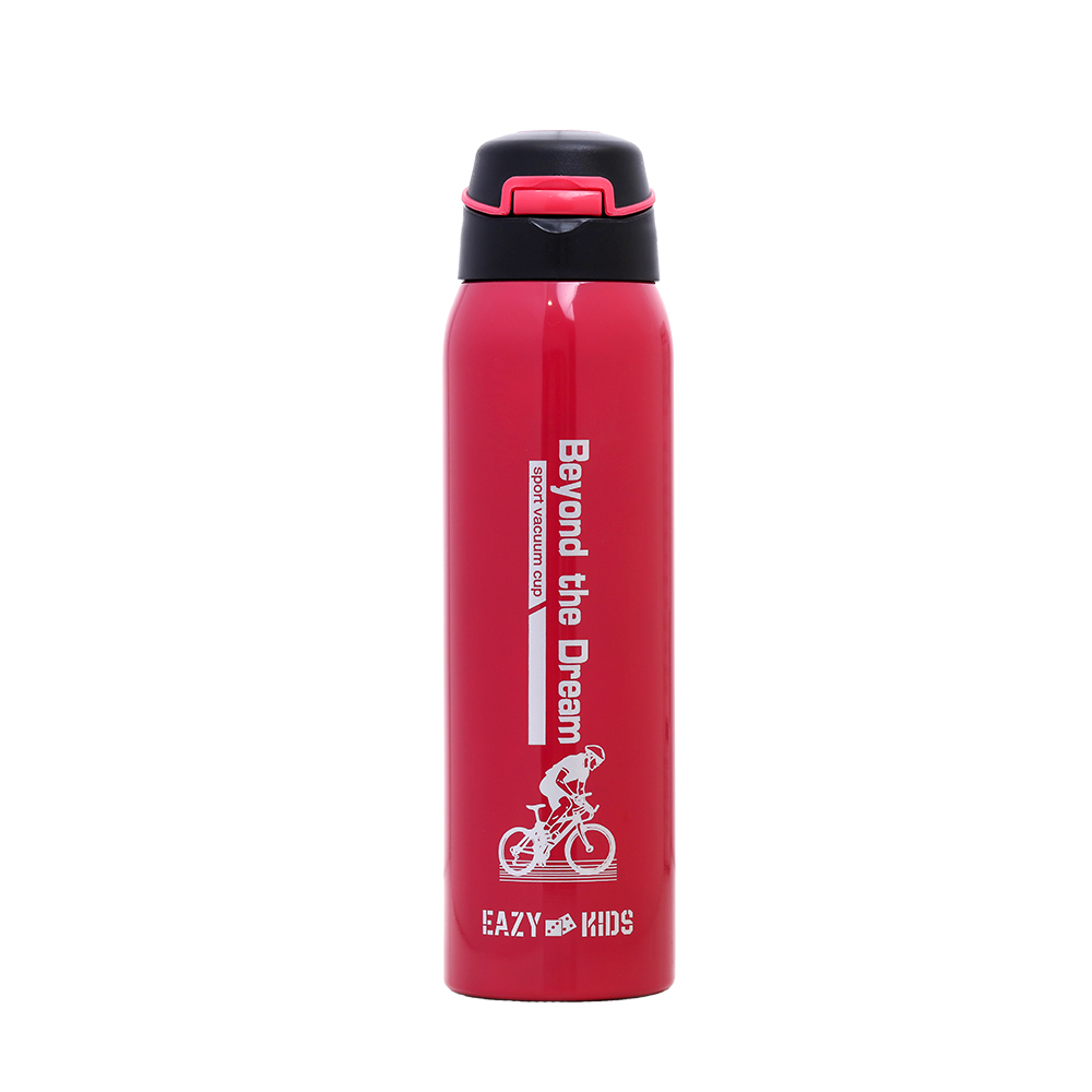 Eazy Kids – Flip Top Water Bottle 750ml – BPA Free Spout & Straw Bottle for Kids, Bicycle Mint
