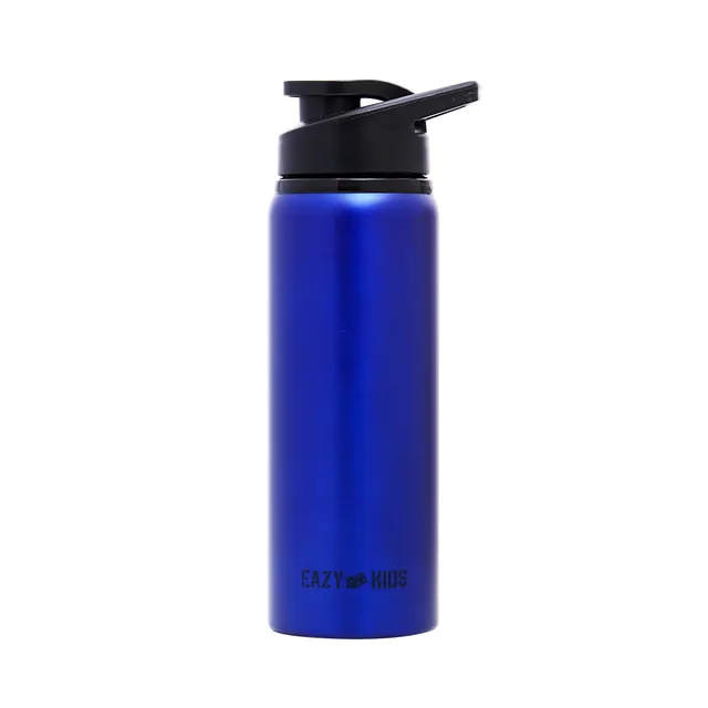 Eazy kids – Double wall Stainless Steel Water Bottle – Blue (530ml)