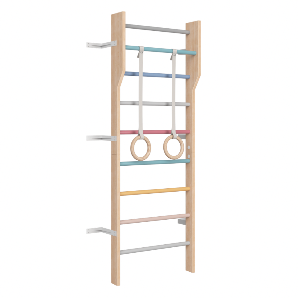Multicolor Modern Scandinavian Ladder Gym