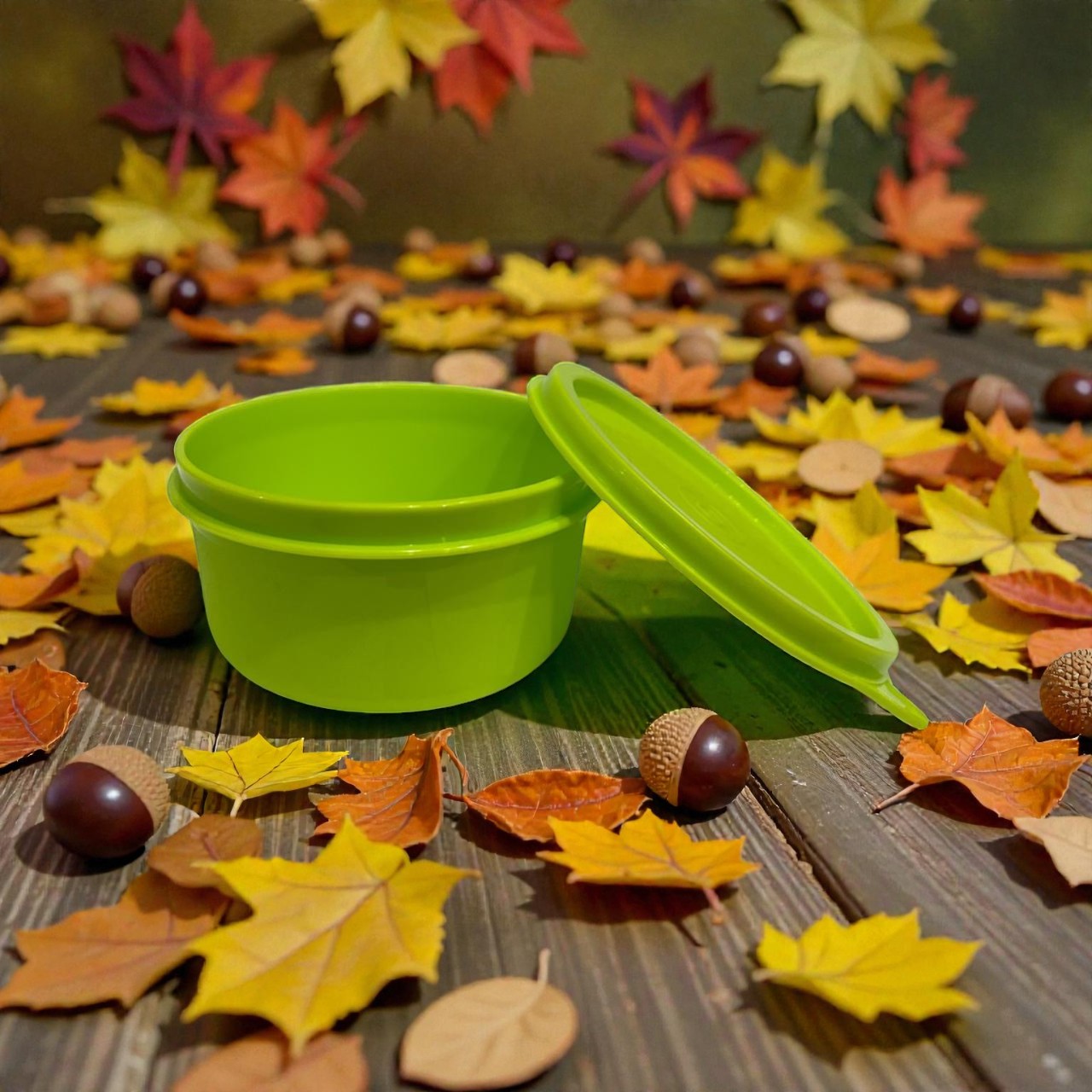 Astro Ruby Big Snack Box 550 ml - Green