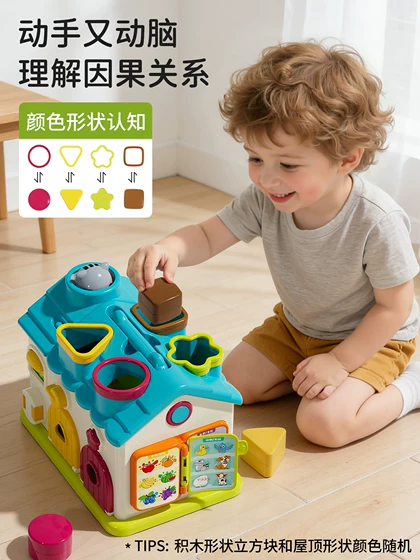 Musical Busy Learning House Shape Sorter Activity Toy