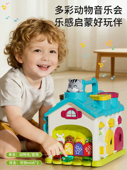 Musical Busy Learning House Shape Sorter Activity Toy