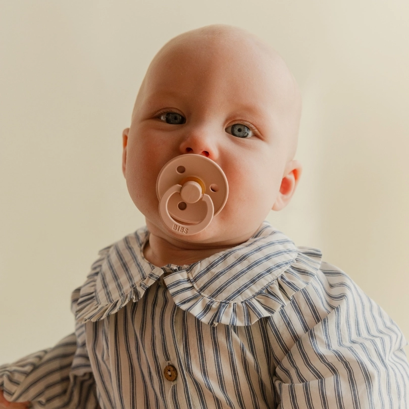 BIBS Anatomical Nipple Pacifier Colour 2 Pack Latex Size 1 Blush Woodchuck